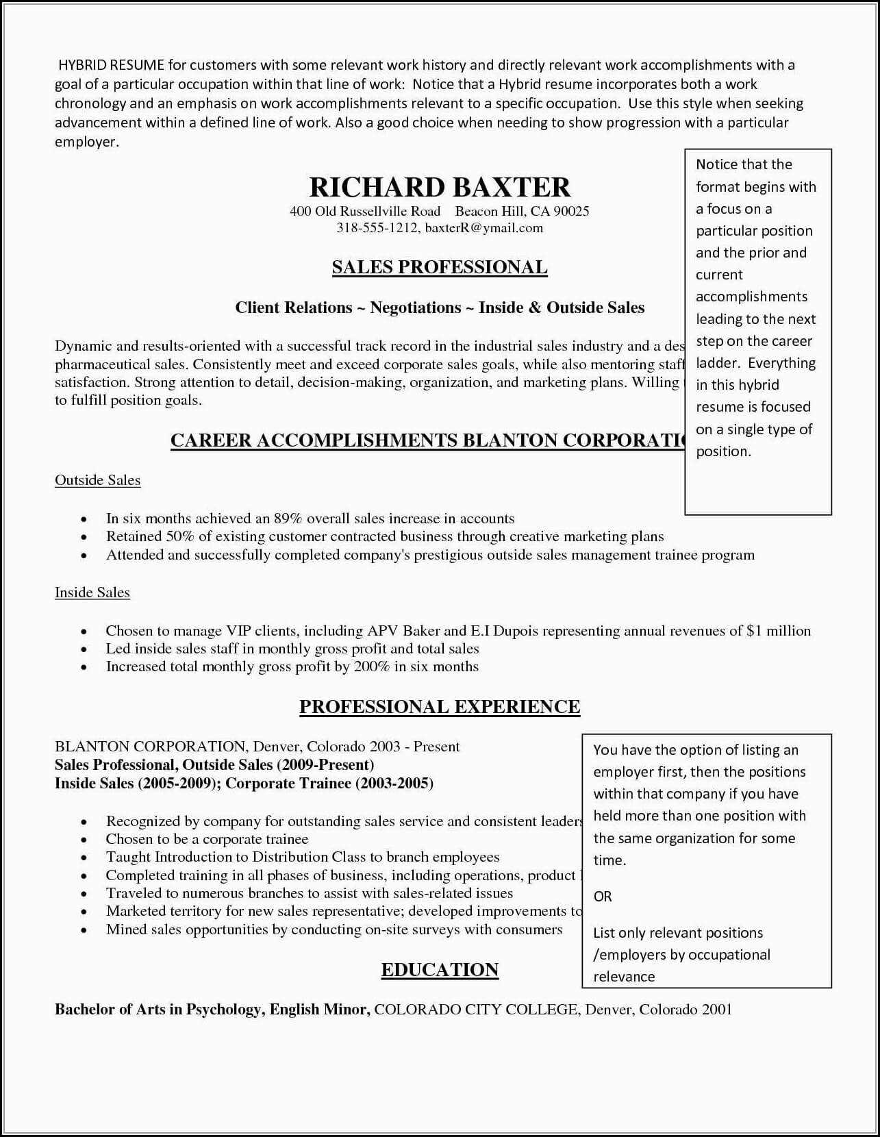 034 Template Ideas Free Combination Resume Awful For Combination Resume Template Word