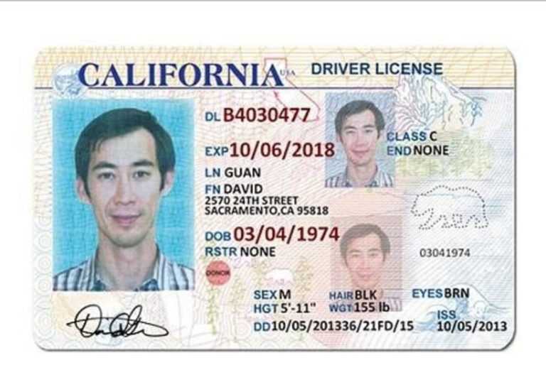 blank drivers license word template